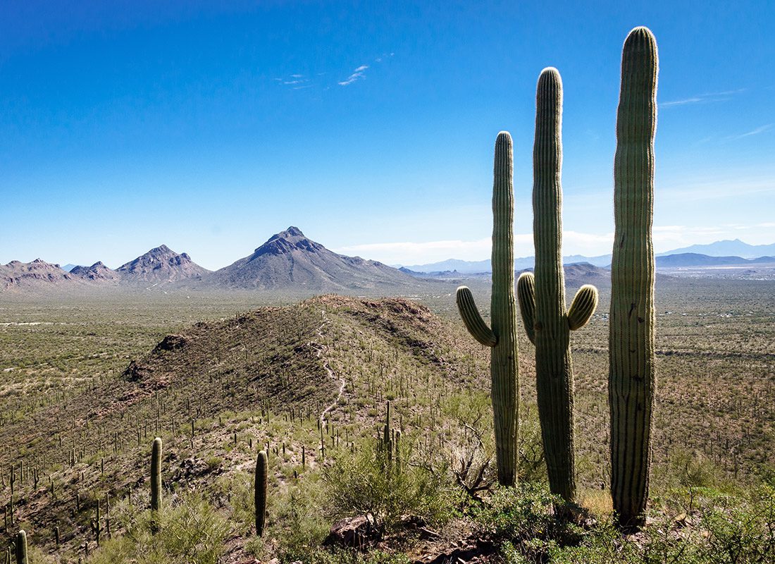 About Our Agency - Hike Near Gilbert Ray Campground, Near Saguara National Park, AZ